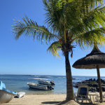 Avatar de l’utilisateur/utilisatrice