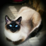 Avatar de l’utilisateur/utilisatrice