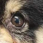 Avatar de l’utilisateur/utilisatrice